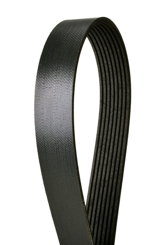 Goodyear Belts & Hoses 4081244 Poly V Belt