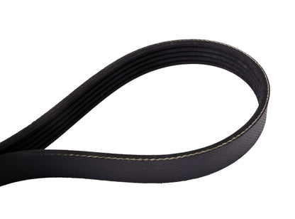 Continental Elite 4050715 Poly-V/Serpentine Belt