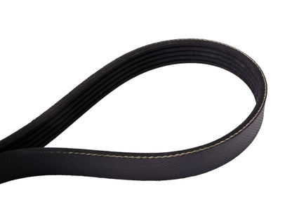 Continental 4050350 OE Technology Series Multi-V Belt | Patman Parts