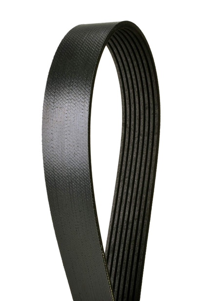 Continental 4080495X 8 Ribs 49.50" Multi-V Belt