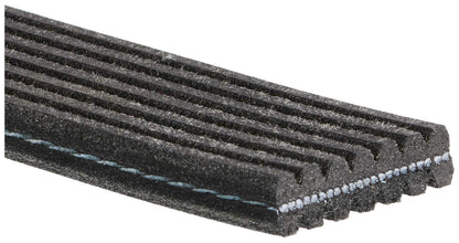 ACDelco 7DK536 Professional Double-Sided V-Ribbed Belt