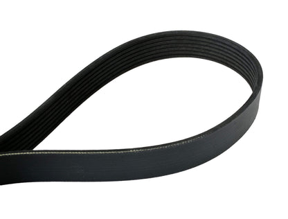 Continental Elite 4070540 Poly-V Belt