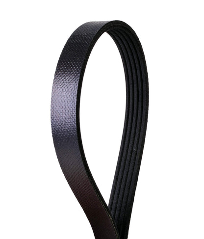 Continental 4050200 OE Technology Series Multi-V Belt