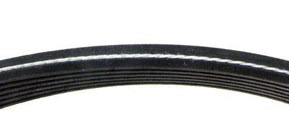 Continental D4060725 Dual-Sided Poly-V/Serpentine Belt