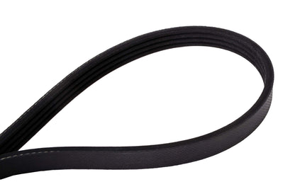 Continental 4040340S 4 Ribs 34.00" Multi-V Belt | Patman Parts