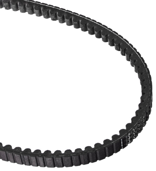 Dayco 22420 V-Belt