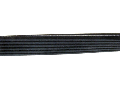 Continental D4060725 Dual-Sided Poly-V/Serpentine Belt