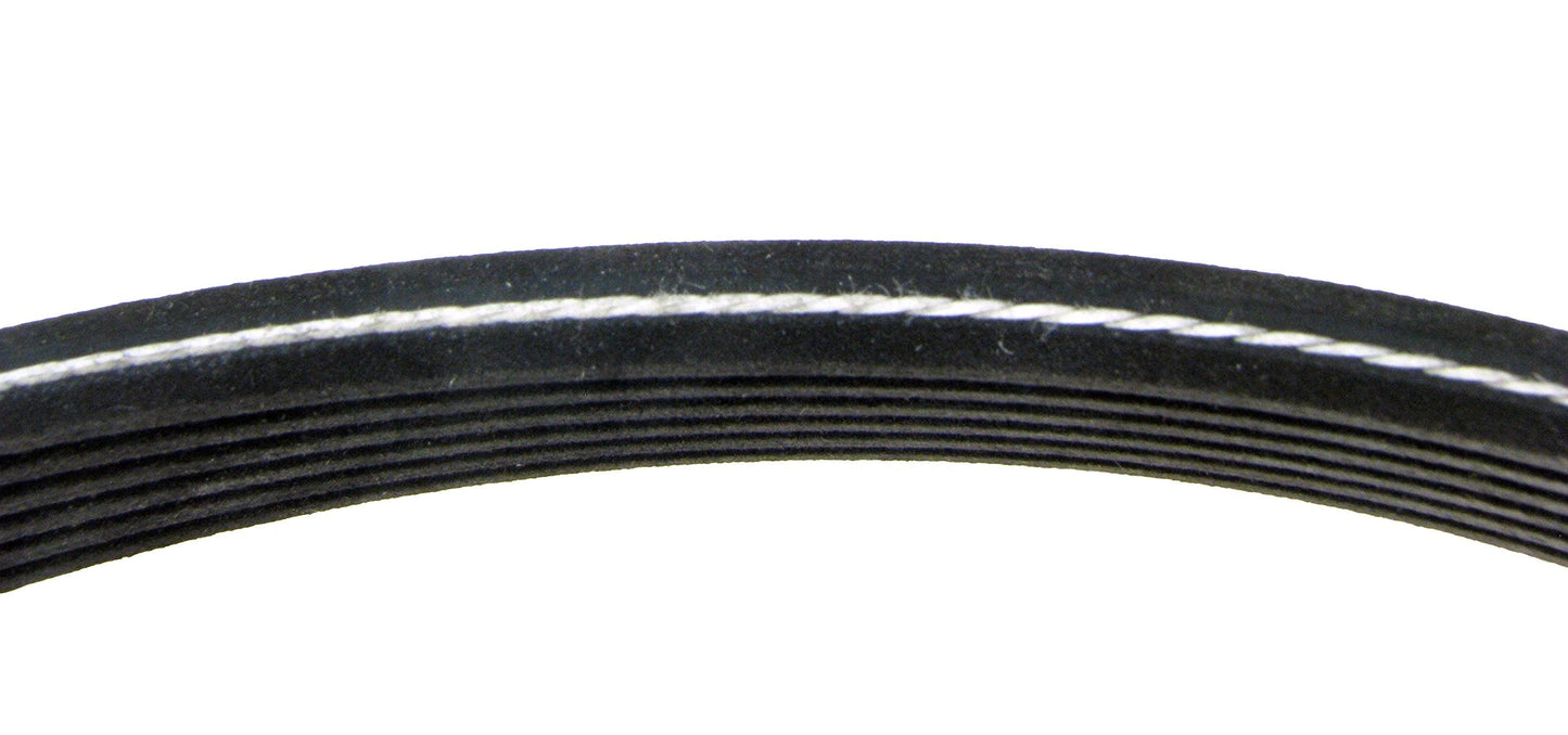 Continental D4060725 Dual-Sided Poly-V/Serpentine Belt | Patman Parts