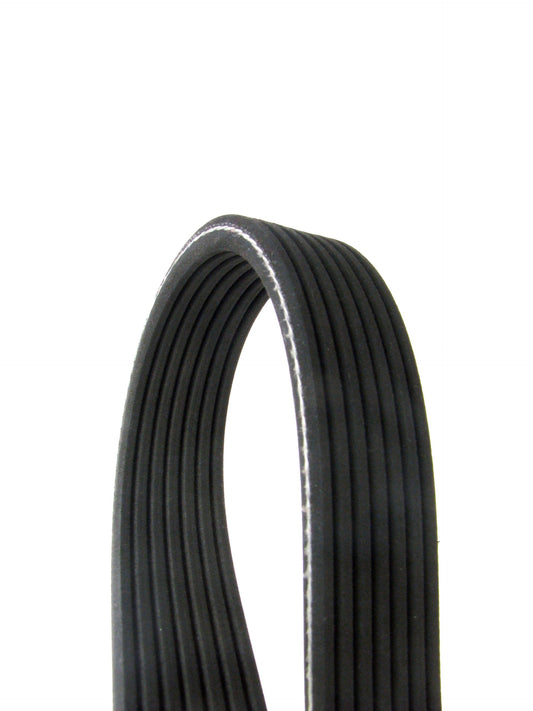 Continental Elite D4070535 Dual-Sided Poly-V/Serpentine Belt