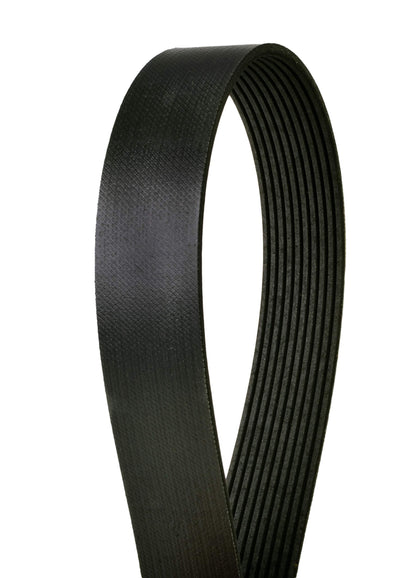 Continental Elite 4100675 Poly-V/Serpentine Belt