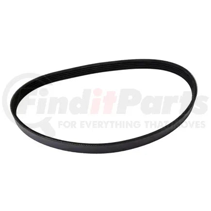 Continental 545K5MK Drive Belt | Patman Parts