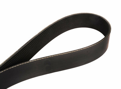 Continental 4120858X 12 Ribs 85.80" Multi-V Belt | Patman Parts