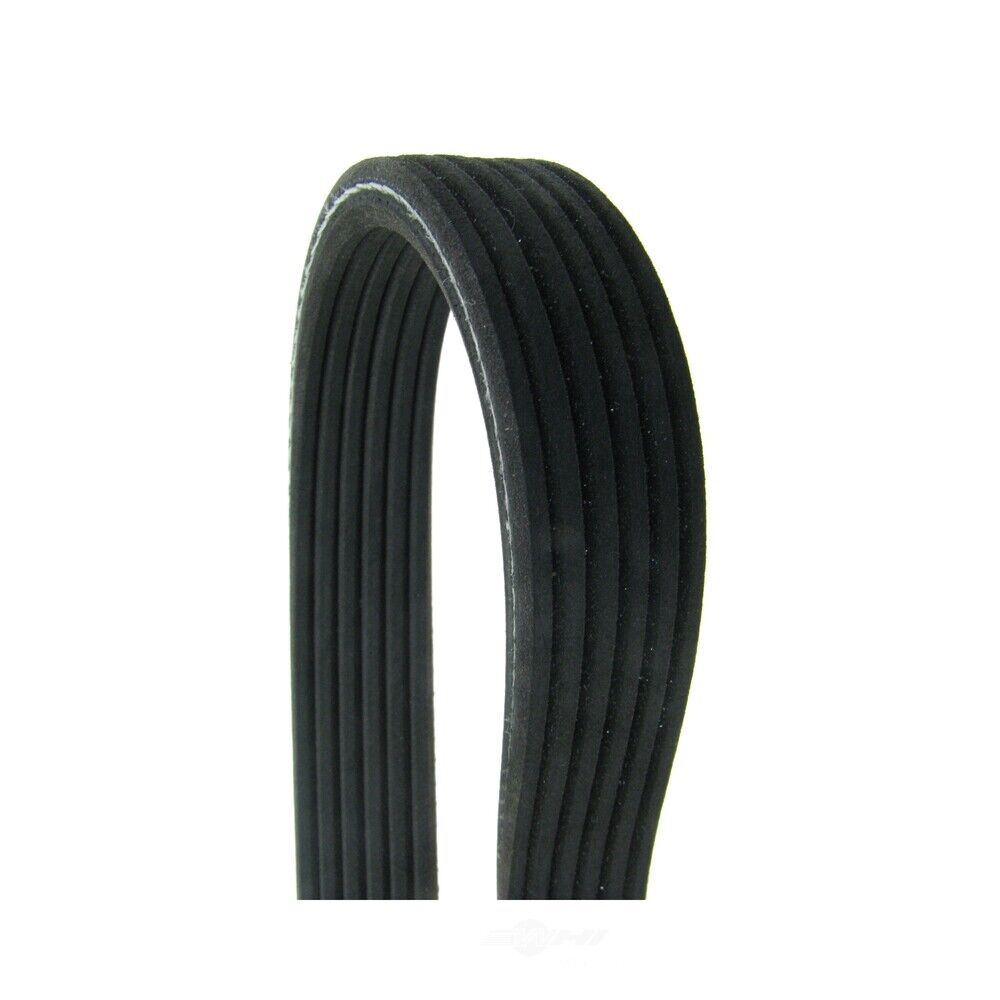 Continental 470DK6MK Drive Belt | Patman Parts