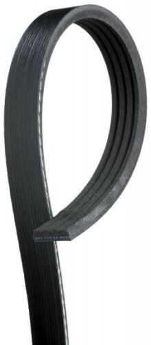 Continental 347K4MK Drive Belt | Patman Parts